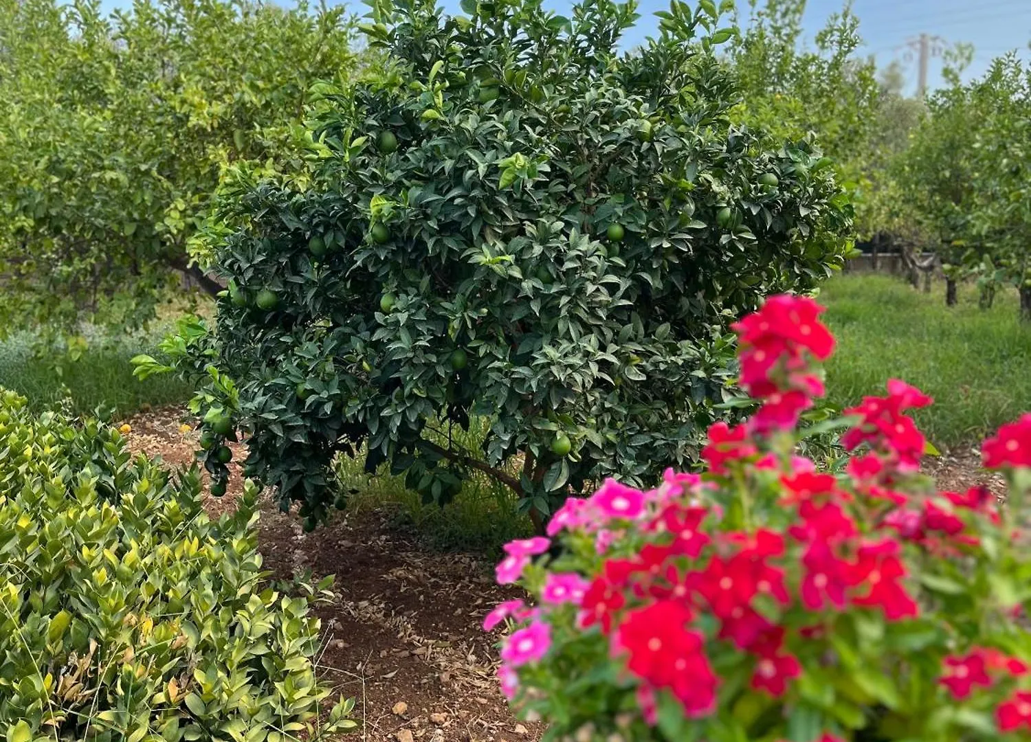 Villa Eraklea Lido di Noto